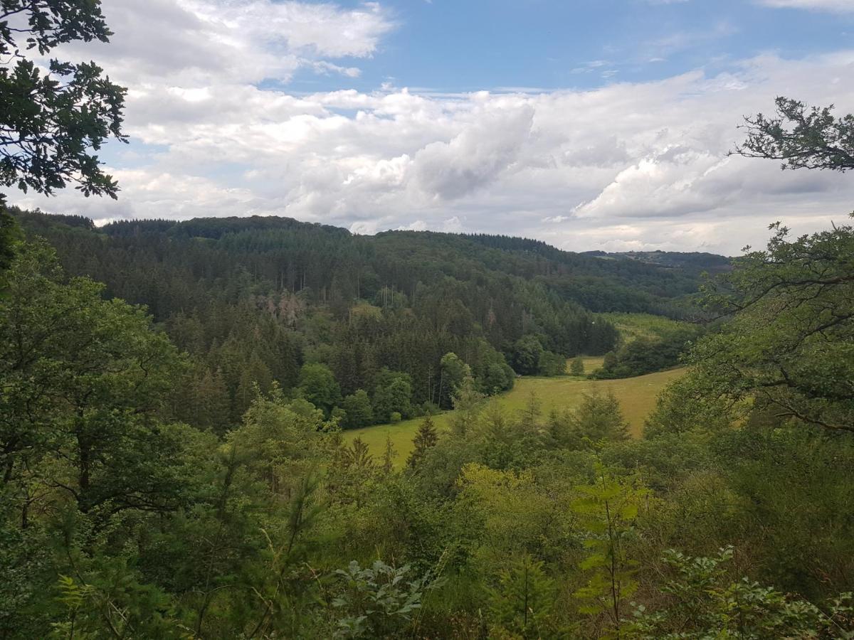 Altes Schreiner Haus In Der Vulkaneifel Brockscheid Екстериор снимка